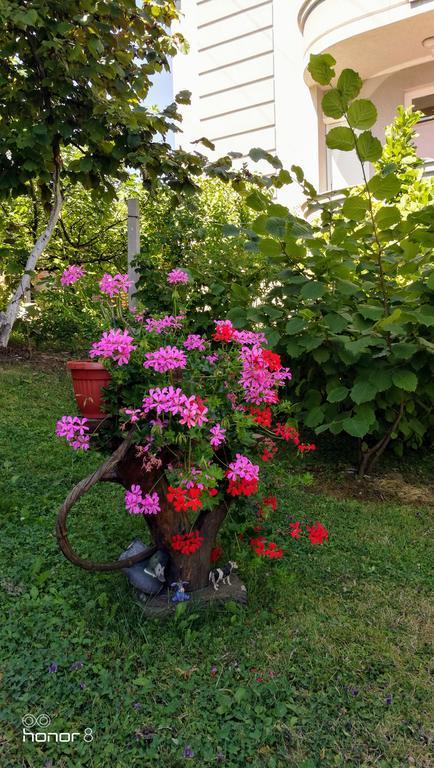 Apartment Mirjana Banja Luka Luaran gambar