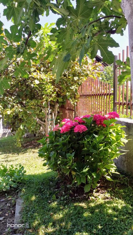 Apartment Mirjana Banja Luka Luaran gambar